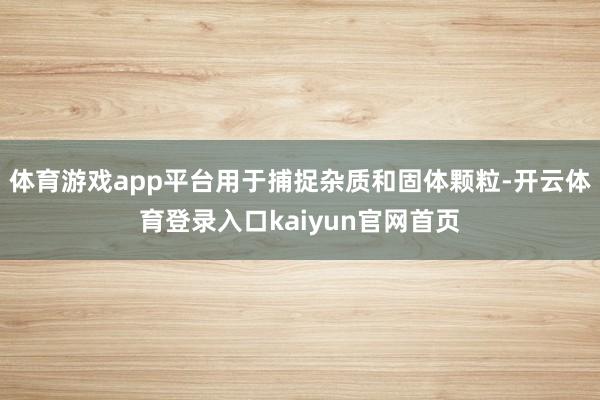 体育游戏app平台用于捕捉杂质和固体颗粒-开云体育登录入口kaiyun官网首页