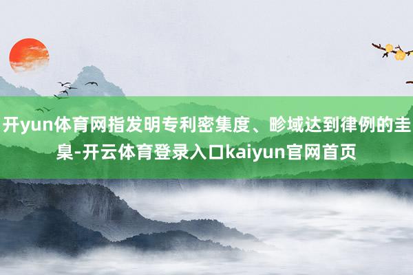 开yun体育网指发明专利密集度、畛域达到律例的圭臬-开云体育登录入口kaiyun官网首页