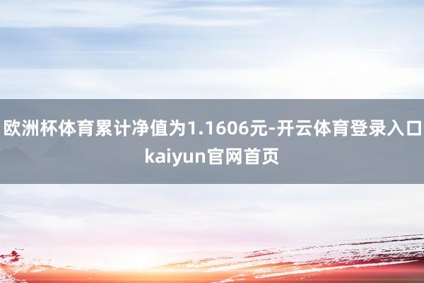 欧洲杯体育累计净值为1.1606元-开云体育登录入口kaiyun官网首页