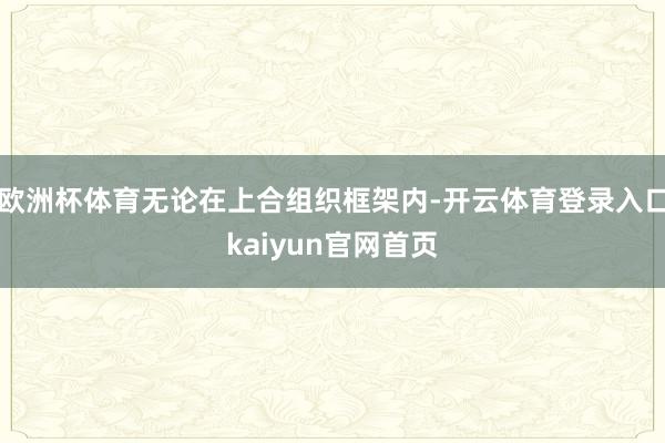 欧洲杯体育无论在上合组织框架内-开云体育登录入口kaiyun官网首页