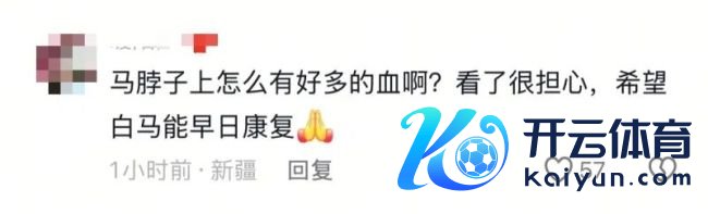 白马主东说念主依立拜整夜未眠饭也吃不下 急寻兽医救白龙马