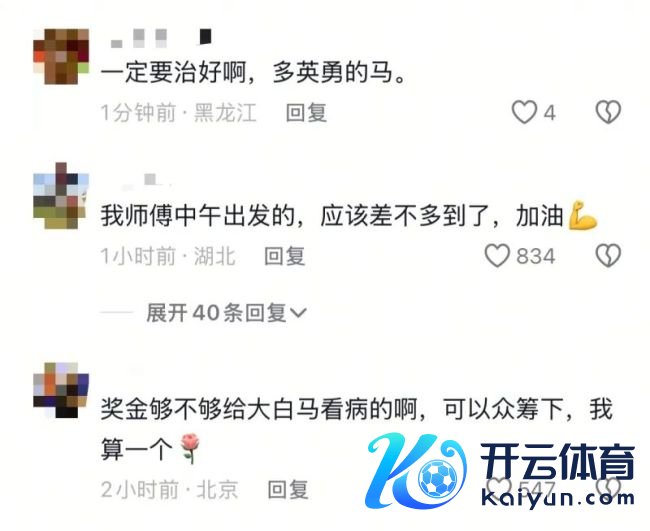 白马主东说念主依立拜整夜未眠饭也吃不下 急寻兽医救白龙马