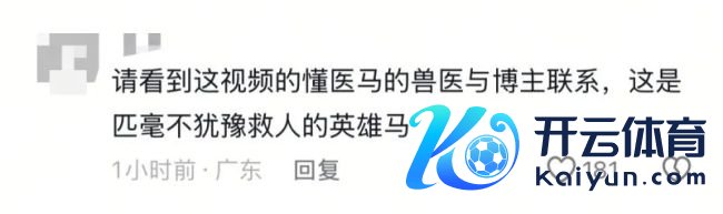 白马主东说念主依立拜整夜未眠饭也吃不下 急寻兽医救白龙马