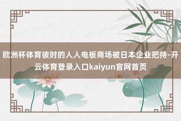 欧洲杯体育彼时的人人电板商场被日本企业把持-开云体育登录入口kaiyun官网首页