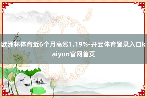 欧洲杯体育近6个月高涨1.19%-开云体育登录入口kaiyun官网首页
