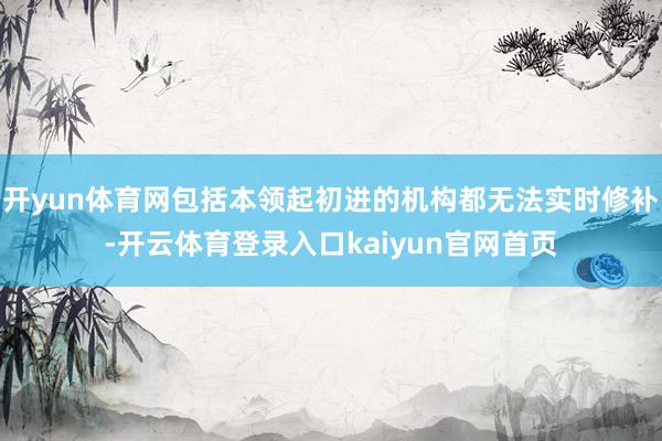 开yun体育网包括本领起初进的机构都无法实时修补-开云体育登录入口kaiyun官网首页